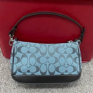 Rare vintage Coach Demi Hampton bag